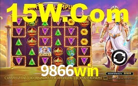 Premium Interface 9866win